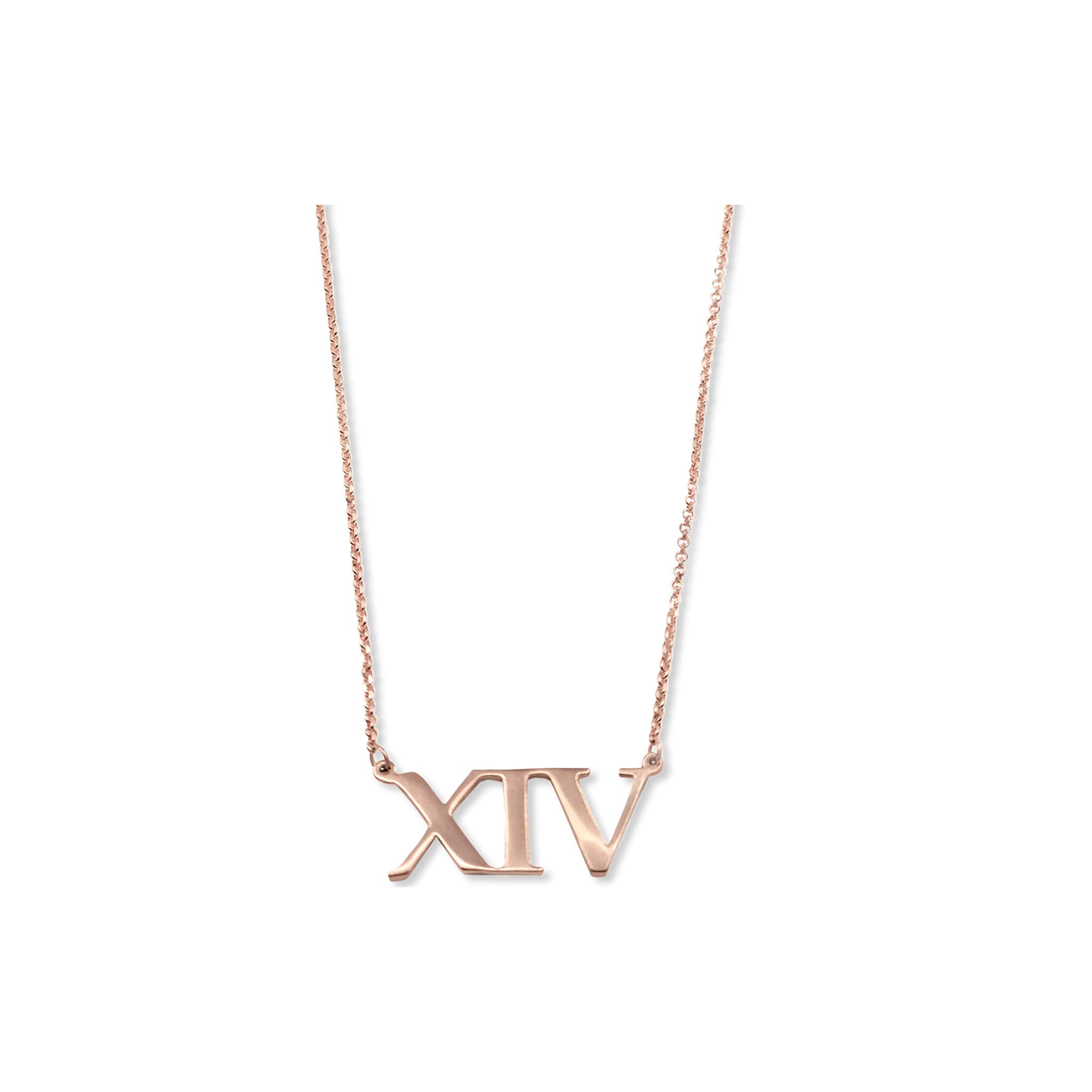 Rose Gold XIV Nameplate Necklace